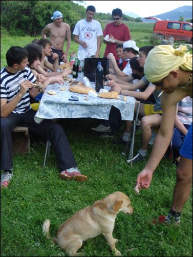 piknik (16)